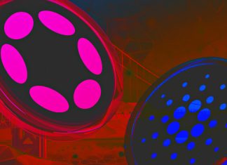 Polkadot-Cardano bridge development sparks community excitement polkadot-cardano-bridge-development-sparks-community-excitement