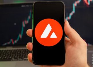 Avalanche Gains Momentum As AVAX Sets Sights On $30.34 Resistance avalanche-gains-momentum-as-avax-sets-sights-on-$30.34-resistance
