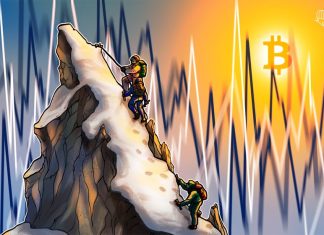 Did Bitcoin Runes already peak? did-bitcoin-runes-already-peak?