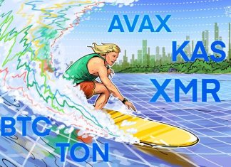Bitcoin price recovery to $62.5K could trigger breakout in TON, AVAX, KAS and XMR bitcoin-price-recovery-to-$62.5k-could-trigger-breakout-in-ton,-avax,-kas-and-xmr
