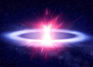 36% Explosion! ENS Coin Steals The Spotlight In The Crypto Market 36%-explosion!-ens-coin-steals-the-spotlight-in-the-crypto-market