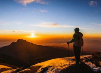 Market Expert Predicts When Bitcoin Price Will Reach Its Cycle Highs market-expert-predicts-when-bitcoin-price-will-reach-its-cycle-highs
