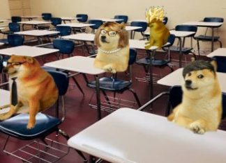 Floki Inu To Build Schools In India, FLOKI Price Seen Hitting $17 floki-inu-to-build-schools-in-india,-floki-price-seen-hitting-$17