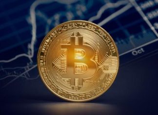 Bitcoin Whales Accumulate 71,000 BTC Amidst Price Dip – Details bitcoin-whales-accumulate-71,000-btc-amidst-price-dip-–-details