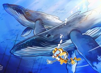 Bitcoin whales snapped up $4.3B of BTC amid price slump bitcoin-whales-snapped-up-$4.3b-of-btc-amid-price-slump