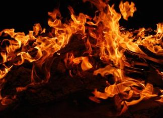Shiba Inu Prepares For Major Burn As Liquidity Surpasses $800 Million shiba-inu-prepares-for-major-burn-as-liquidity-surpasses-$800-million