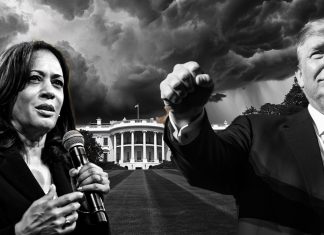 Polymarket bets speculating on Trump vs. Harris hit record $445 million polymarket-bets-speculating-on-trump-vs.-harris-hit-record-$445-million