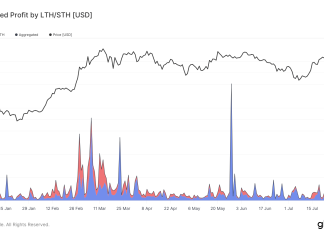 Bitcoin long-term holders dominate profit realizations in 2024, leveraging price peaks bitcoin-long-term-holders-dominate-profit-realizations-in-2024,-leveraging-price-peaks