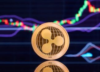 Can XRP Rally 1,000X Despite The Drop Below $0.6? can-xrp-rally-1,000x-despite-the-drop-below-$0.6?